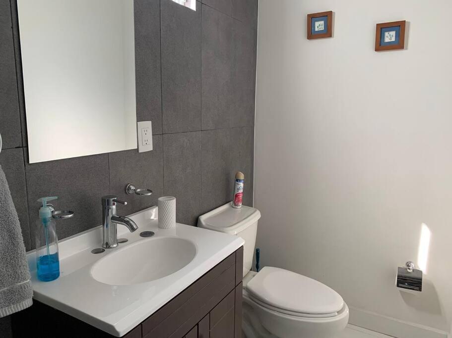 Departamento Completo Y Equipado Con 2 Habitaciones Leon Exterior photo