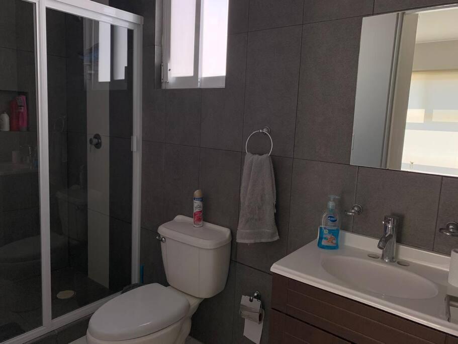Departamento Completo Y Equipado Con 2 Habitaciones Leon Exterior photo